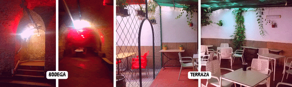 Cena en Bodega o Terraza